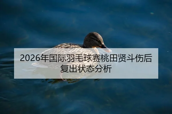 2026年国际羽毛球赛桃田贤斗伤后复出状态分析
