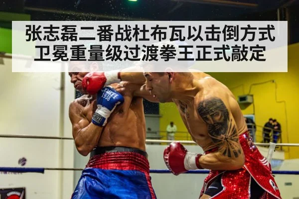 张志磊二番战杜布瓦以击倒方式卫冕重量级过渡拳王正式敲定